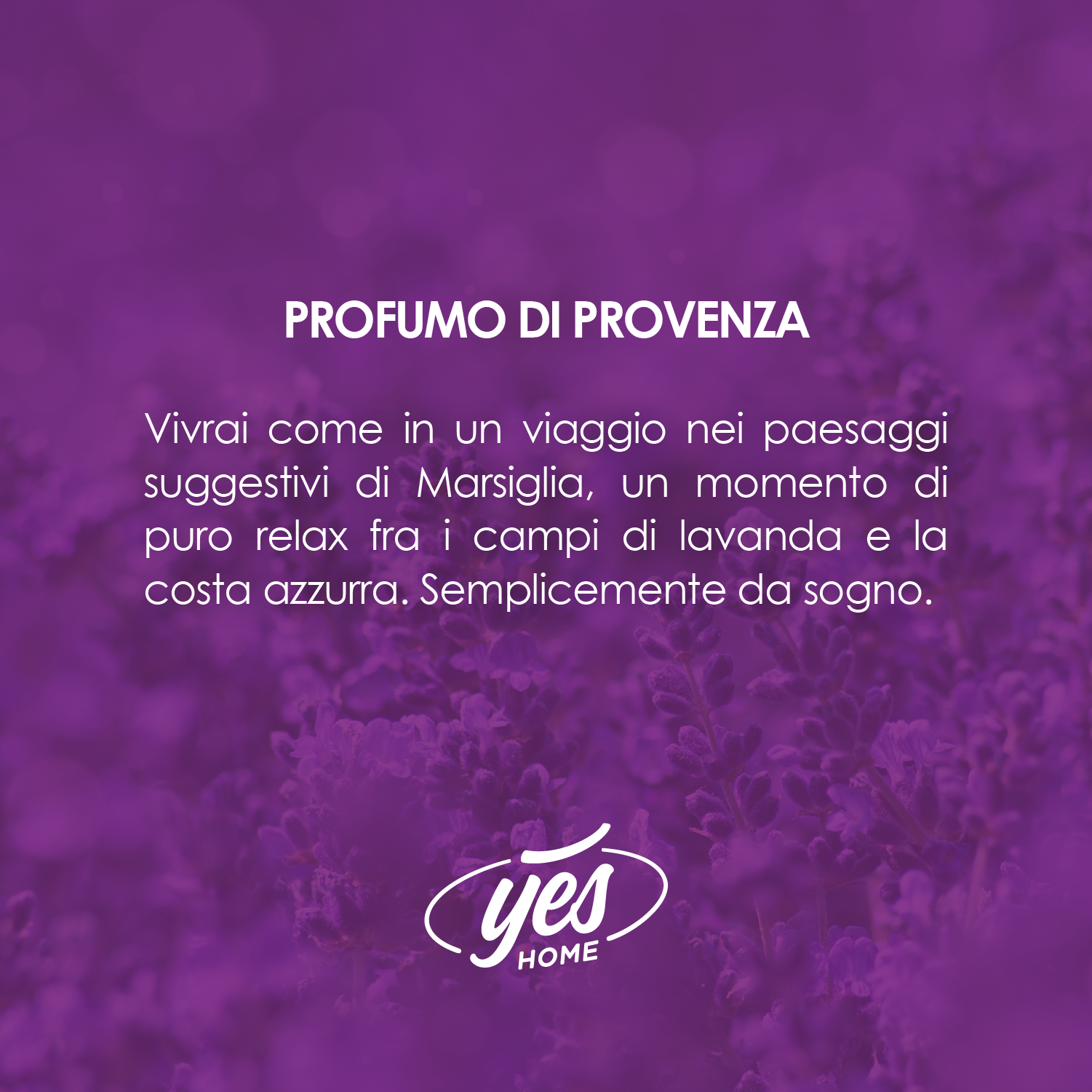 Granuli Profumati Classic - per aspirapolvere con sacchetto - Profumo di Provenza