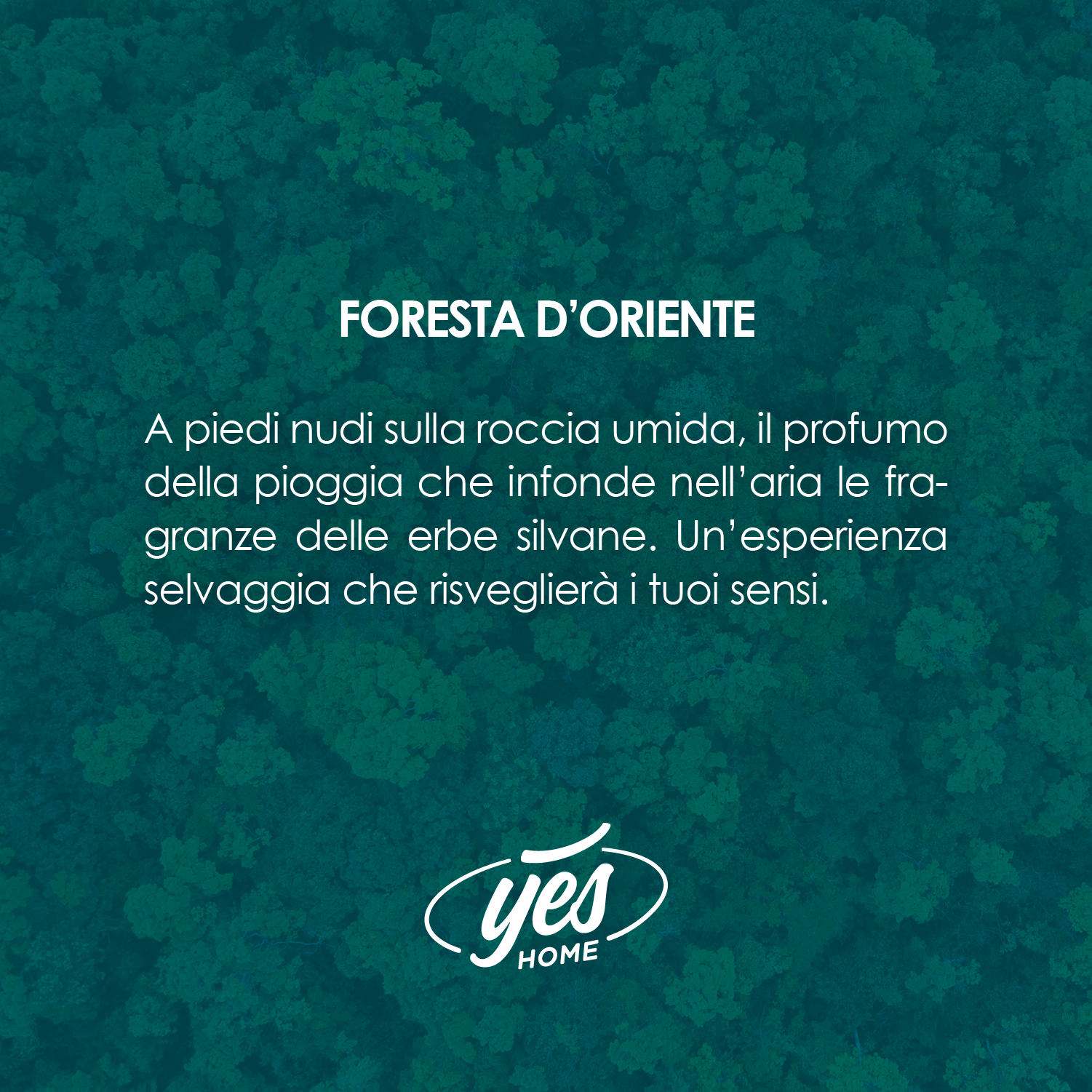 Granuli Profumati Classic - per aspirapolvere con sacchetto - Foresta d'Oriente